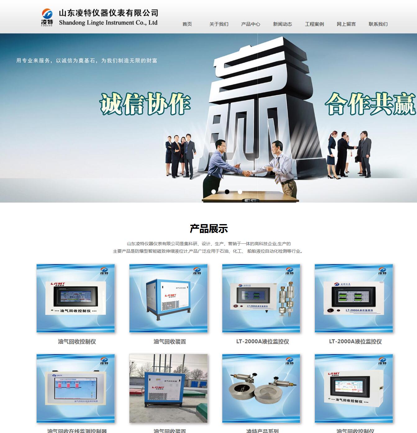山东凌瑞明特仪器仪表有限公司.jpg